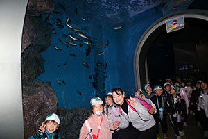 お別れ遠足で名古屋港水族館に行きました　年長組 NO.2