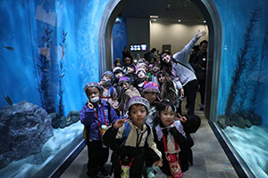 お別れ遠足で名古屋港水族館に行きました　年長組 NO.2