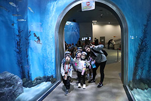 お別れ遠足で名古屋港水族館に行きました　年長組 NO.2
