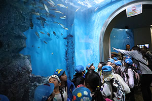 お別れ遠足で名古屋港水族館に行きました　年長組 NO.2
