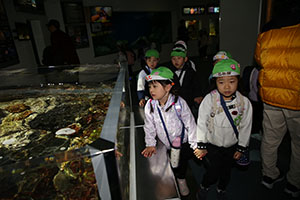 お別れ遠足で名古屋港水族館に行きました　年長組 NO.2