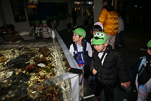 お別れ遠足で名古屋港水族館に行きました　年長組 NO.2