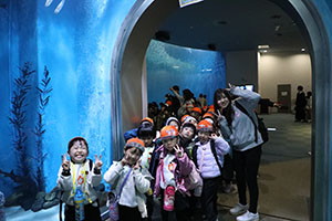 お別れ遠足で名古屋港水族館に行きました　年長組 NO.2