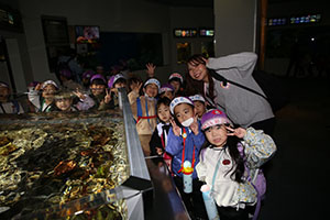 お別れ遠足で名古屋港水族館に行きました　年長組 NO.2