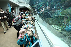 お別れ遠足で名古屋港水族館に行きました　年長組 NO.2