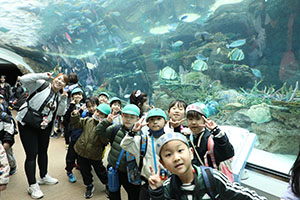 お別れ遠足で名古屋港水族館に行きました　年長組 NO.2