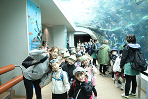 お別れ遠足で名古屋港水族館に行きました　年長組 NO.2