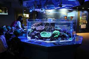 お別れ遠足で名古屋港水族館に行きました　年長組 NO.2