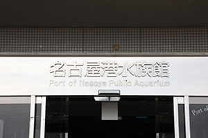 お別れ遠足で名古屋港水族館に行きました　年長組 NO.1