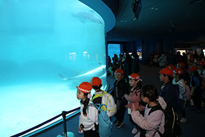 お別れ遠足で名古屋港水族館に行きました　年長組 NO.1