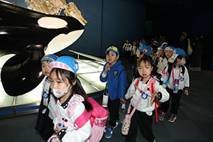 お別れ遠足で名古屋港水族館に行きました　年長組 NO.1