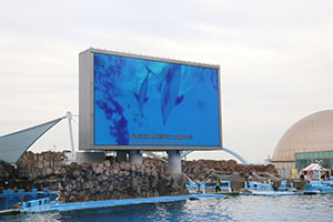 お別れ遠足で名古屋港水族館に行きました　年長組 NO.1