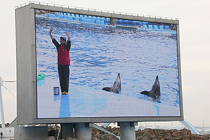 お別れ遠足で名古屋港水族館に行きました　年長組 NO.1