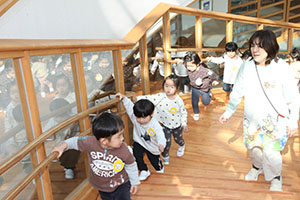 ばら組さんのお部屋で遊びました　あひる・ばら