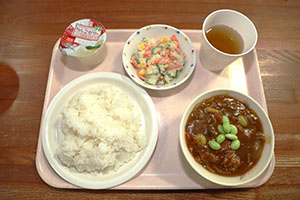 キャンプごっこ　ひよこ