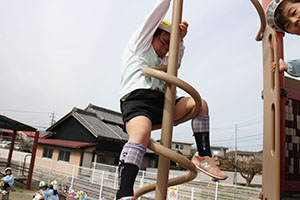 お散歩楽しかったね　ことり・ぱんだ・　　りす・こあら・うさぎ