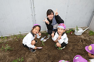 エンゼル畑に野菜の苗を植えました　年長組