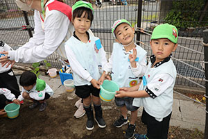 エンゼル畑に野菜の苗を植えました　年長組