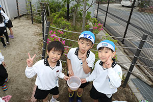 エンゼル畑に野菜の苗を植えました　年長組