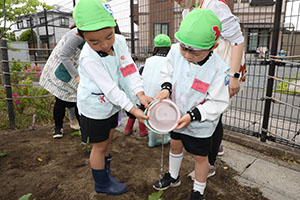 エンゼル畑に野菜の苗を植えました　年長組