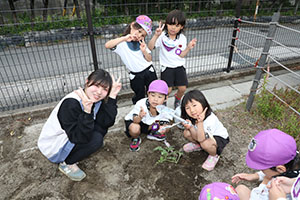 エンゼル畑に野菜の苗を植えました　年長組
