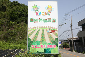 エンゼル自然体験農園で芋苗植え　年長　NO.1