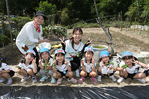 エンゼル自然体験農園で芋苗植え　年長　NO.1