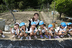 エンゼル自然体験農園で芋苗植え　年長　NO.1