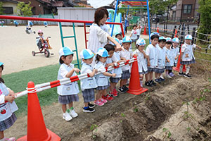 エンゼル畑にサツマイモの苗を植えました　うさぎ・こあら