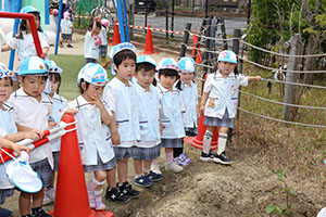 エンゼル畑にサツマイモの苗を植えました　うさぎ・こあら