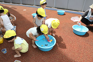 色水遊び　あひる