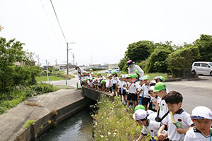 お散歩楽しかったね　　たんぽぽ・B