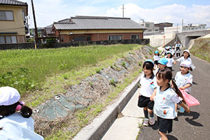 お散歩へでかけました　さくら・たんぽぽ
