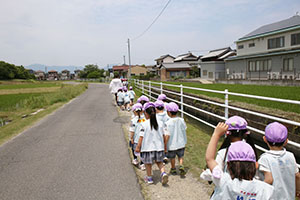 オタマジャクシを探しにでかけました　ばら・すみれ