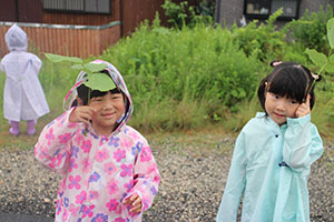 雨の日散歩にでかけました　ひまわり