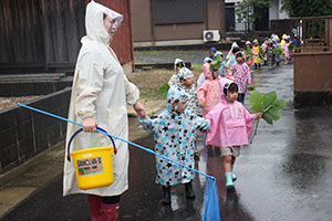 雨の日散歩にでかけました　ひまわり