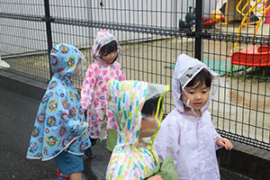 雨の日散歩にでかけました　ひまわり
