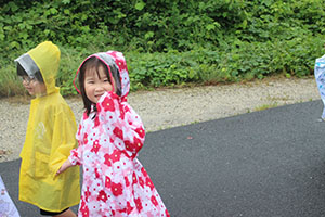 雨の日散歩にでかけました　ひまわり