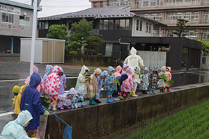 雨の日散歩にでかけました　ひまわり