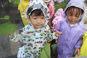 雨の日散歩にでかけました　ひまわり