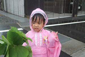 雨の日散歩にでかけました　ひまわり