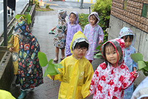 雨の日散歩にでかけました　ひまわり