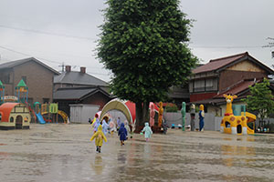 雨の日散歩にでかけました　ひまわり