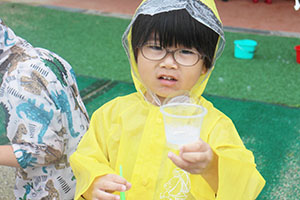 雨の日散歩にでかけました　ひまわり