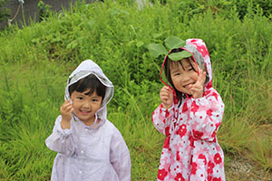 雨の日散歩にでかけました　ひまわり