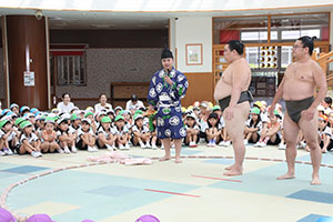 どすこいエンゼル！おすもうさんがやってきた　NO.1