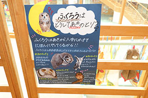 秋の制作　ーフクロウー　E