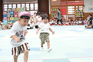 2歳児クラス運動会　ーかけっこー　ひよこ・あひる・ぺんぎん