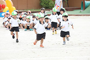 運動会　かけっこの活動　年少
