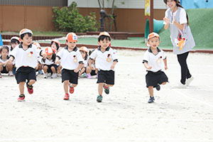 運動会　かけっこの活動　年少